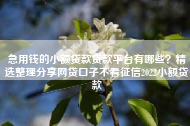 急用钱的小额贷款贷款平台有哪些？精选整理分享网贷口子不看征信2022小额贷款
