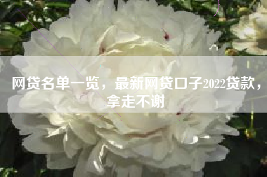 网贷名单一览，最新网贷口子2022贷款，拿走不谢