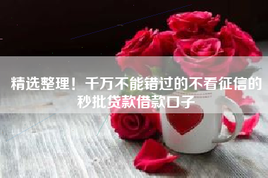 精选整理！千万不能错过的不看征信的秒批贷款借款口子