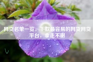 网贷名单一览，下款最容易的网贷网贷平台，拿走不谢