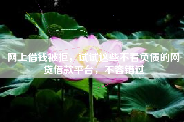 网上借钱被拒，试试这些不看负债的网贷借款平台，不容错过