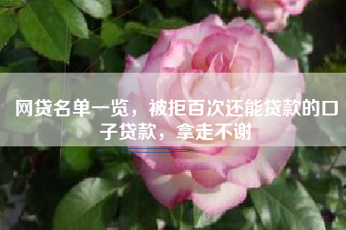 网贷名单一览，被拒百次还能贷款的口子贷款，拿走不谢