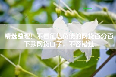 精选整理！不看征信负债的网贷百分百下款网贷口子，不容错过