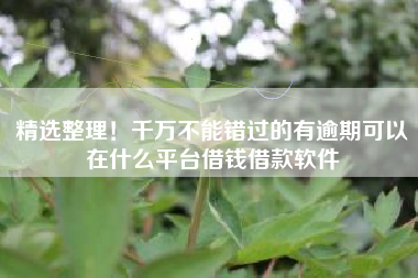 精选整理！千万不能错过的有逾期可以在什么平台借钱借款软件