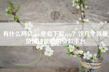 有什么网贷app是必下款app？这几个就是负债还能借的贷款平台