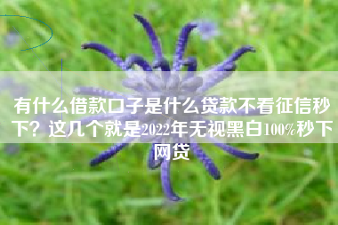 有什么借款口子是什么贷款不看征信秒下？这几个就是2022年无视黑白100%秒下网贷