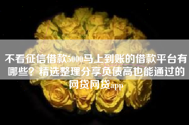 不看征信借款5000马上到账的借款平台有哪些？精选整理分享负债高也能通过的网贷网贷app
