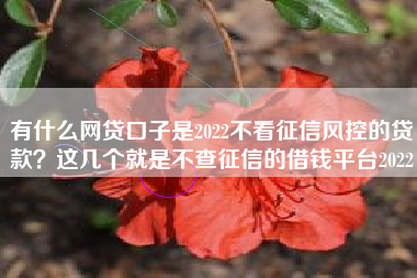 有什么网贷口子是2022不看征信风控的贷款？这几个就是不查征信的借钱平台2022