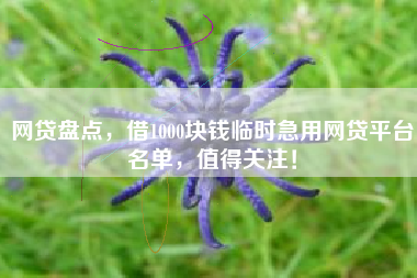 网贷盘点，借1000块钱临时急用网贷平台名单，值得关注！