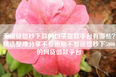 无视征信秒下款的口子贷款平台有哪些？精选整理分享不看逾期不看征信秒下5000的网贷借款平台