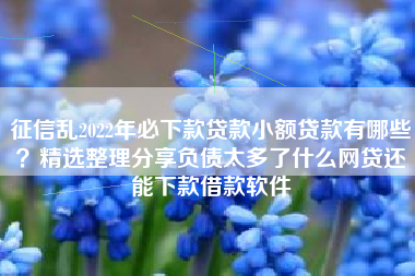 征信乱2022年必下款贷款小额贷款有哪些？精选整理分享负债太多了什么网贷还能下款借款软件