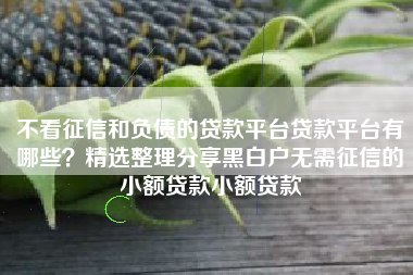 不看征信和负债的贷款平台贷款平台有哪些？精选整理分享黑白户无需征信的小额贷款小额贷款