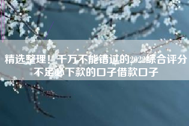 精选整理！千万不能错过的2022综合评分不足必下款的口子借款口子
