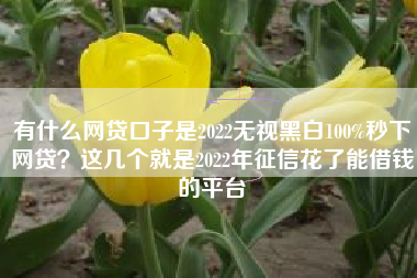 有什么网贷口子是2022无视黑白100%秒下网贷？这几个就是2022年征信花了能借钱的平台