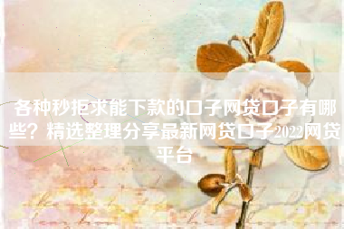 各种秒拒求能下款的口子网贷口子有哪些？精选整理分享最新网贷口子2022网贷平台