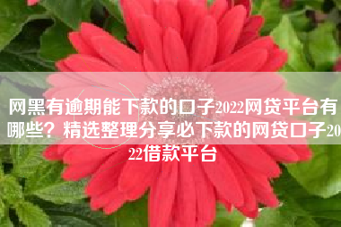 网黑有逾期能下款的口子2022网贷平台有哪些？精选整理分享必下款的网贷口子2022借款平台