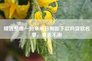 精选整理一份来米分期能下款吗贷款名单，拿走不谢
