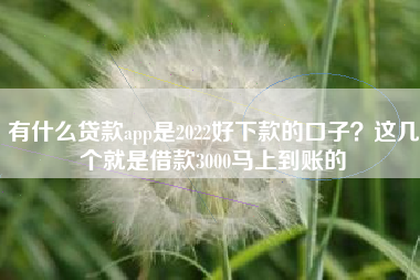 有什么贷款app是2022好下款的口子？这几个就是借款3000马上到账的