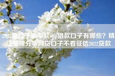 2022黑口子必下款app借款口子有哪些？精选整理分享网贷口子不看征信2022贷款