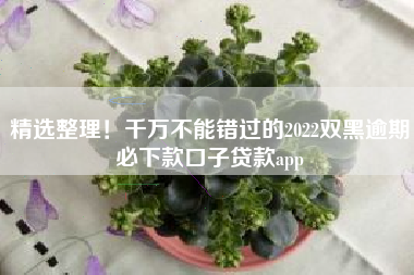 精选整理！千万不能错过的2022双黑逾期必下款口子贷款app