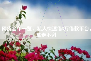 网贷名单一览，私人快速借5万借款平台，拿走不谢