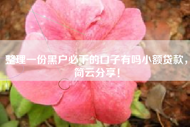 整理一份黑户必下的口子有吗小额贷款，简云分享！