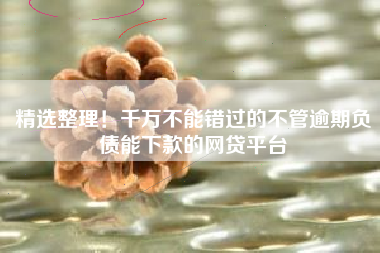 精选整理！千万不能错过的不管逾期负债能下款的网贷平台
