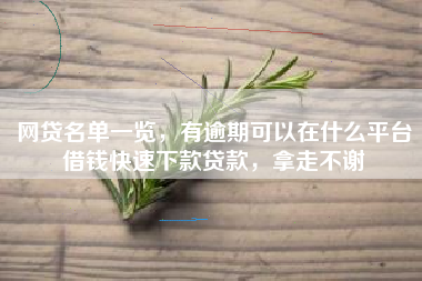 网贷名单一览，有逾期可以在什么平台借钱快速下款贷款，拿走不谢