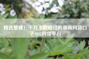精选整理！千万不能错过的最新网贷口子2022网贷平台