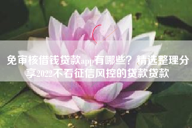 免审核借钱贷款app有哪些？精选整理分享2022不看征信风控的贷款贷款