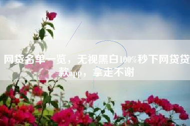 网贷名单一览，无视黑白100%秒下网贷贷款app，拿走不谢