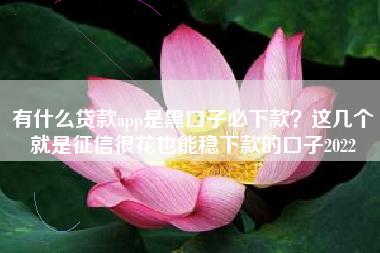 有什么贷款app是黑口子必下款？这几个就是征信很花也能稳下款的口子2022