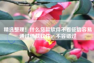 精选整理！什么贷款软件不看征信容易通过借款软件，不容错过