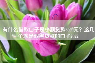 有什么借款口子是小额贷款3000元？这几个就是双黑贷款的口子2022
