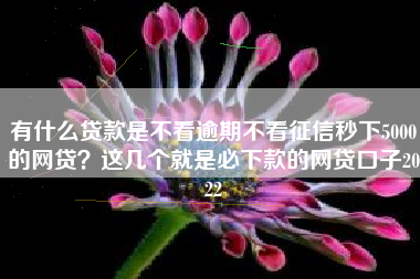 有什么贷款是不看逾期不看征信秒下5000的网贷？这几个就是必下款的网贷口子2022