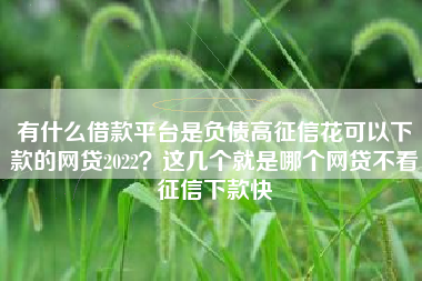 有什么借款平台是负债高征信花可以下款的网贷2022？这几个就是哪个网贷不看征信下款快