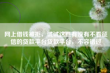 网上借钱被拒，试试这些有没有不看征信的贷款平台贷款平台，不容错过