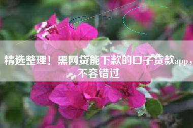 精选整理！黑网贷能下款的口子贷款app，不容错过