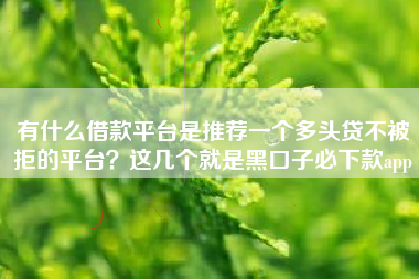 有什么借款平台是推荐一个多头贷不被拒的平台？这几个就是黑口子必下款app