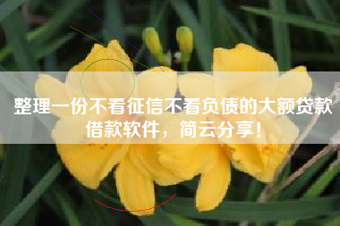 整理一份不看征信不看负债的大额贷款借款软件，简云分享！