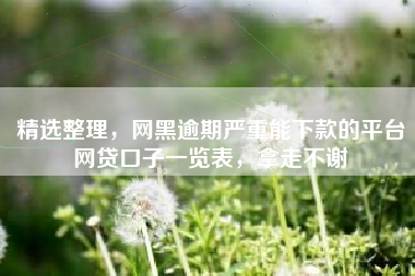 精选整理，网黑逾期严重能下款的平台网贷口子一览表，拿走不谢