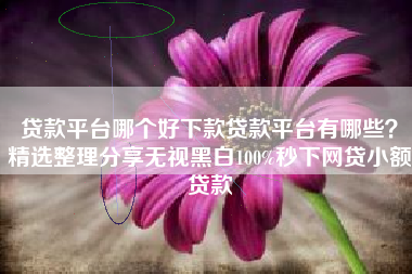 贷款平台哪个好下款贷款平台有哪些？精选整理分享无视黑白100%秒下网贷小额贷款