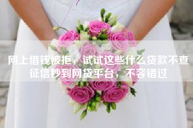 网上借钱被拒，试试这些什么贷款不查征信秒到网贷平台，不容错过