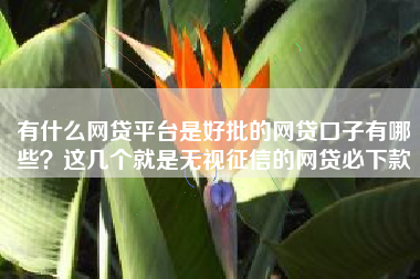 有什么网贷平台是好批的网贷口子有哪些？这几个就是无视征信的网贷必下款