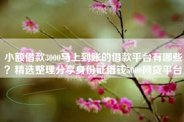 小额借款3000马上到账的借款平台有哪些？精选整理分享身份证借钱5000网贷平台