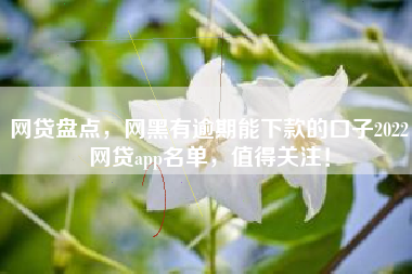 网贷盘点，网黑有逾期能下款的口子2022网贷app名单，值得关注！