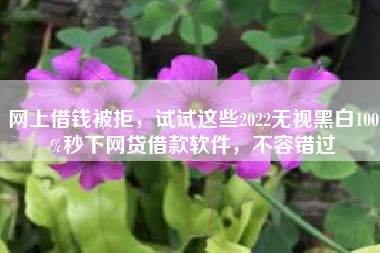 网上借钱被拒，试试这些2022无视黑白100%秒下网贷借款软件，不容错过