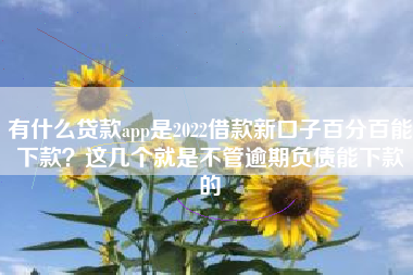 有什么贷款app是2022借款新口子百分百能下款？这几个就是不管逾期负债能下款的
