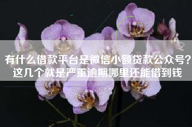 有什么借款平台是微信小额贷款公众号？这几个就是严重逾期哪里还能借到钱