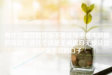 有什么借款软件是不看征信不看大数据的贷款？这几个就是无视黑白无视征信申请就下款的口子